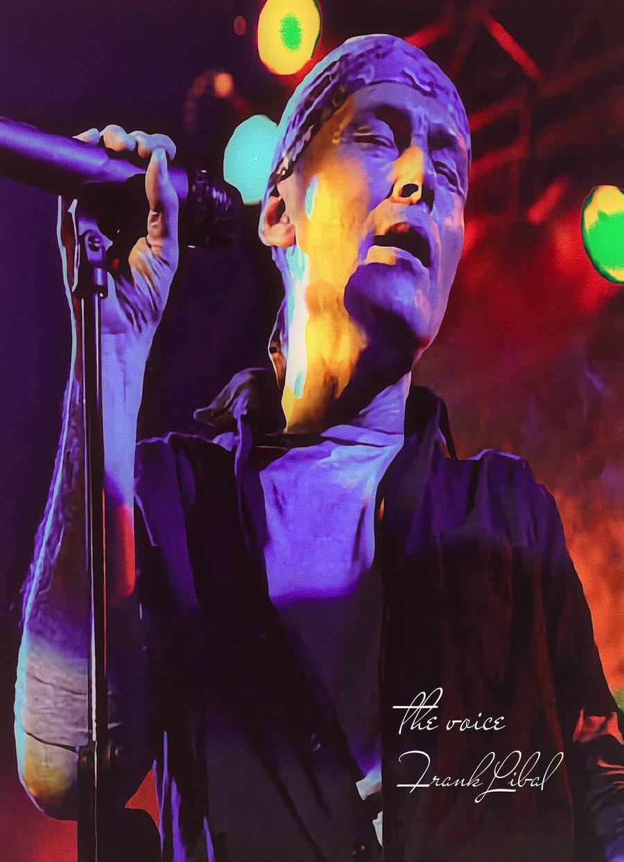 A short description about the picture goes here